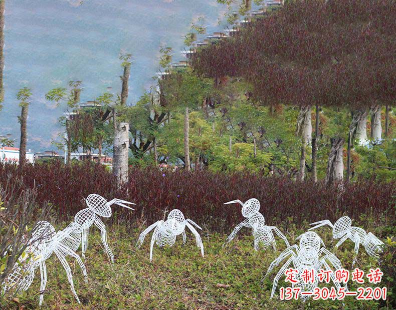 广东不锈钢蚂蚁镂空雕塑艺术与自然的完美结合