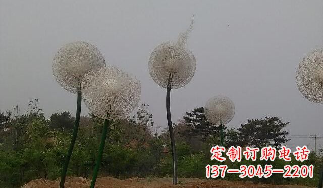 广东蒲公英的绚丽多彩