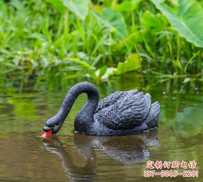 广东黑天鹅雕塑，水塘装饰摆件