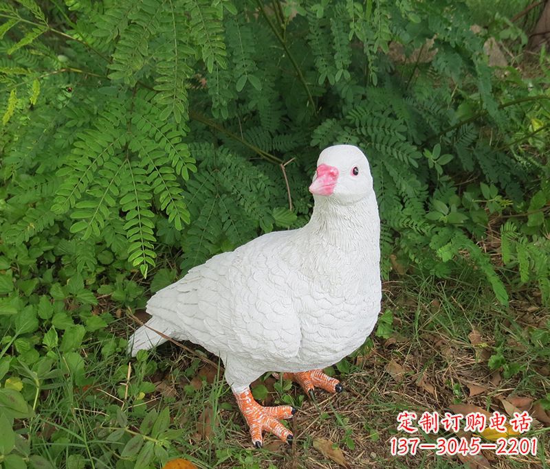 广东潍坊青年路和平鸽灰姑娘雕塑